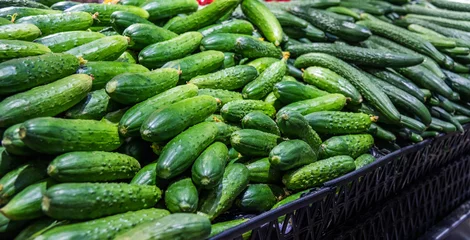 Gordijnen Pile of fresh cucumbers in market © xy