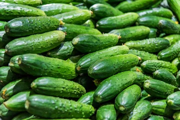 Foto op Plexiglas Pile of fresh cucumbers in market © xy