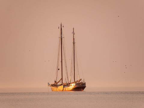 Sailing ship anchored in Waddensea during summer evening golden hour, Netherlands