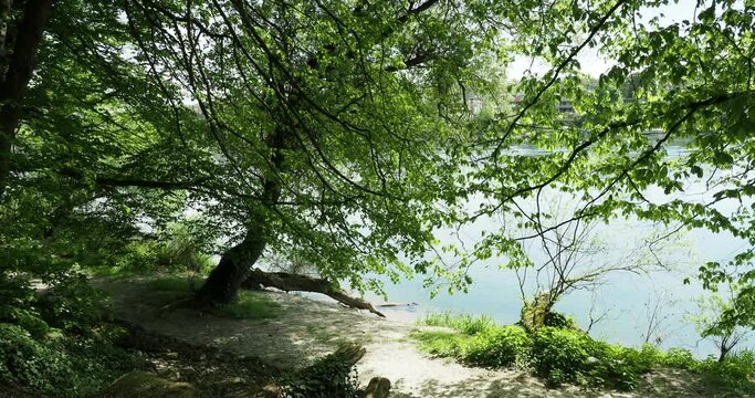 Rheinfelden (Baden) in Germany. Waterway on  the Rhine from Adelberg. Wild nature and small shaded area at the edge of the right bank of the Rhine
