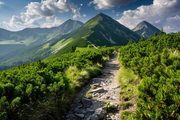 Serene Mountain Pathway Amidst Verdant Slopes and Blue Sky
