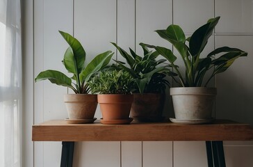 Plants on a brown table in a house