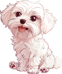 Maltese Dog adorable art vector
illustration
