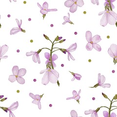Watercolor pattern of pink spring flowers on a white background 