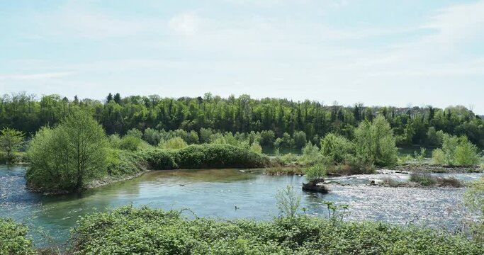 Natural landscape and wild fauna along the the bypass of the Rhine. View from Germany bank. Old saltworks (Alte Saline) and W&auml;berh&ouml;lzli forest along Rheinfelden (Aargau) banks
