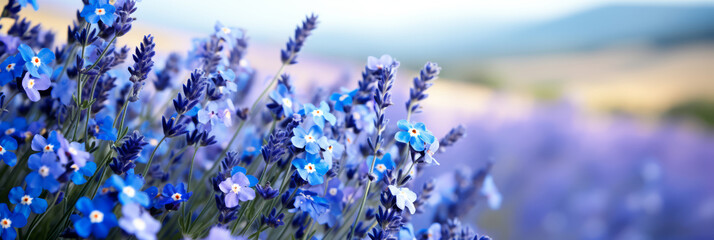 Beautiful field close-up of blue and purple violet blooming flowers on cloudy spring day on blurred background. Colorful and bright natural and pastoral landscape with copyspace for text.  - obrazy, fototapety, plakaty