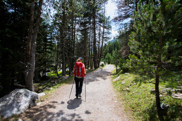 Young hiker woman in Vall de Boi, Aiguestortes and Sant Maurici National Park, Spain - obrazy, fototapety, plakaty
