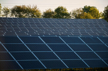 Photovoltaic panel farm with trees in the background