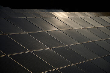 Solar panels in the sun's rays producing electricity