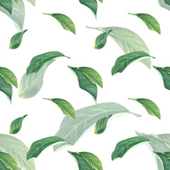 Lemon tropic green leaves watercolor seamless pattern on white background, hand-painted in botanical style, for textile, wallpaper, menu, wedding, holiday design