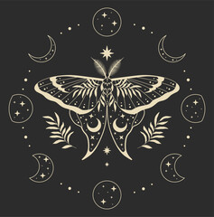 Vector illustration of moon moth. For print for T-shirts and bags, decor element. Mystical and magical, astrology illustration