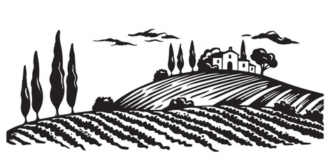Vineyard landscape, Sketch, hand drawn illustrations.