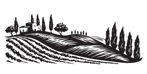 Vineyard landscape, Sketch, hand drawn illustrations.