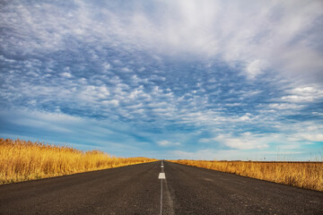 Histria Citadel's Museum - Europe, Romania, Constanta region, Istria, 2024.01.04 year