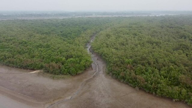 Aerial view of the Sundarbans in rural India, the Ganges river delta with the largest mangroves forest in the world. Landscape of wild and pristine nature with water channels and creeks in West Bengal