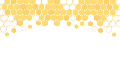 Beehive honey sign with hexagon grid cells on white background vector.