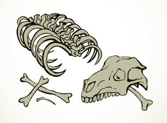 Bones and skull of a horse. Vector drawing - 787100823