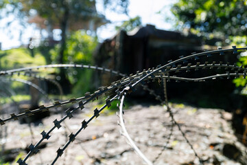 Close up of Steel barbed wire indicates specially controlled areas such as dangerous zone. Personal place or government buildings and are often found in military operations areas.