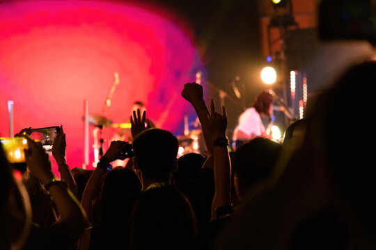 People raises fist at the concert