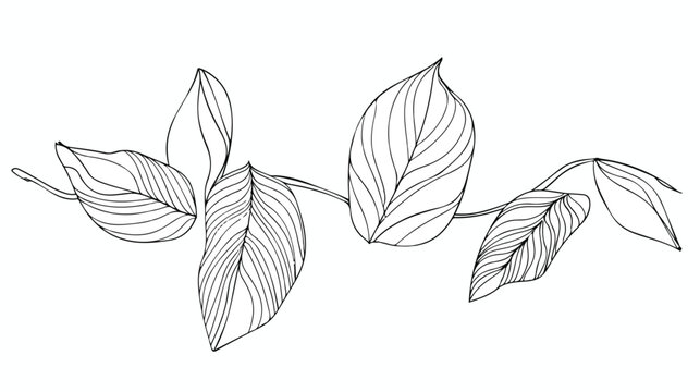 One line continuous of leaves single line drawing art