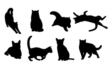 Cat shadow 6 cute on a white background, vector illustration.