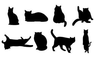 Cat shadow 4cute on a white background, vector illustration.