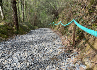Path with crushed stones through a forest on the Camino del Norte in Spain