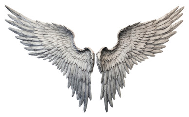 Obraz premium PNG Angel wings bird white background creativity