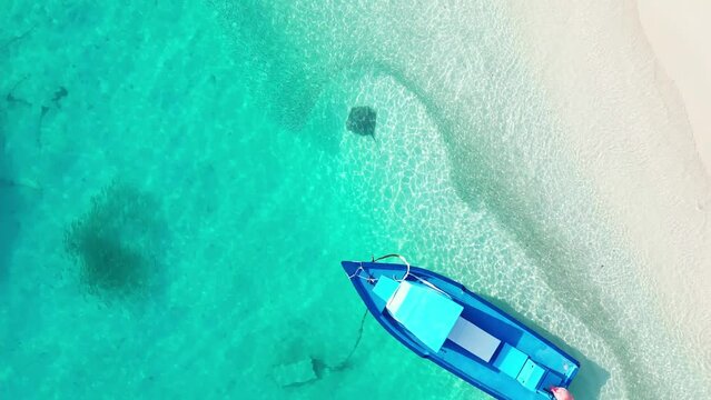Fulidhoo, Maldives: Overhead aerial drone footage of the Fulidhoo local island beach with a stingray swimming through a school of fish in the Vaavu atoll in the Indian ocean. 
