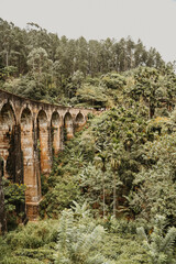 view of the Nine Arch Bridge, also called Bridge in the Sky, near Ella in SRI LANKA