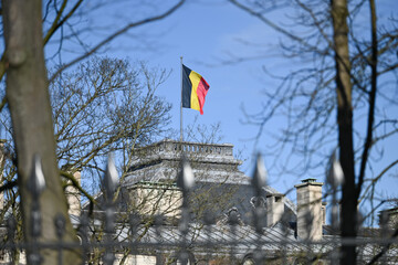 Belgique Drapeau palais royal Bruxelles parc 