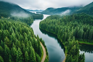 beautiful aerial view of a winding road turning into a big green full of green beautiful trees forest with a lake surrounded by green mountains and green forests covered with fog in a cloudy day - Powered by Adobe