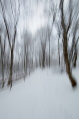 Intentional camera movement (ICM) image of a dream like view of snow covered walking trail in...