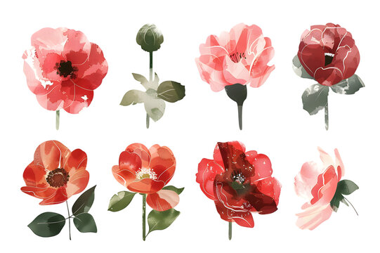 Colorful flowers hand drawn collection isolated on transparent background