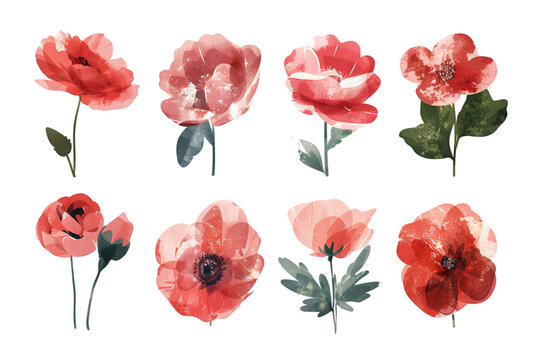 Colorful flowers hand drawn collection isolated on transparent background