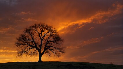Fototapeta na wymiar A solitary fruit tree on a hill, silhouetted against a fiery sunset sky Generative AI