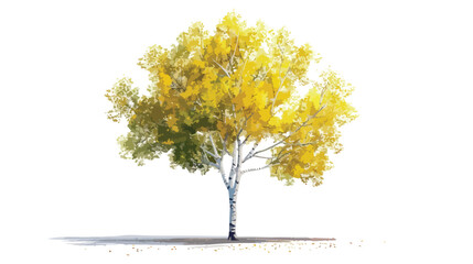 Aspen Tree Isolated on white background flat vector Illustration