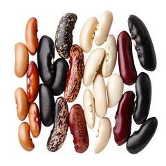 A neatly arranged row of multicolored beans, including kidney beans, black beans, and pinto beans, celebrating diversity and nutrition, isolated on transparent background - obrazy, fototapety, plakaty