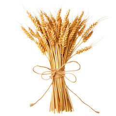 A close-up of golden wheat ears, tied together with a rustic twine, symbolizing harvest and abundance, isolated on transparent background
