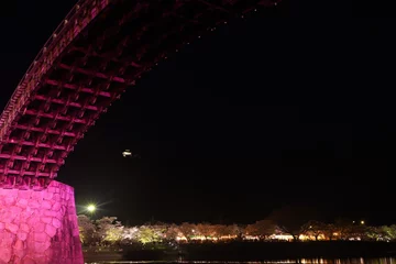 Washable Wallpaper Murals Kintai Bridge 『錦帯橋とサクラ』夜桜 ライトアップ 山口県岩国   日本観光　Kintai Bridge 　