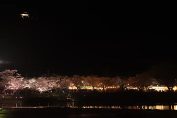 Velvet curtains Kintai Bridge 『錦帯橋とサクラ』夜桜 ライトアップ 山口県岩国   日本観光　Kintai Bridge 　
