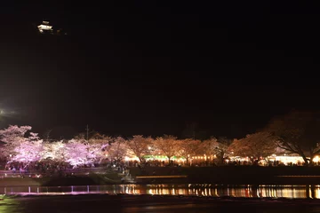 Room darkening curtains Kintai Bridge 『錦帯橋とサクラ』夜桜 ライトアップ 山口県岩国   日本観光　Kintai Bridge 　
