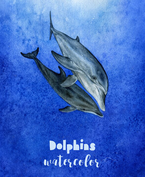 Electric blue dolphins painted in art swim together in the wildlife ocean watercolor illustration