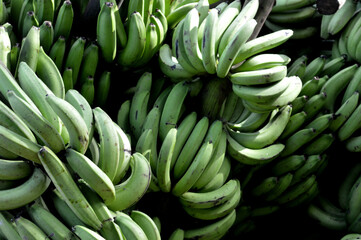 A bunch of green bananas are piled up on top of each other