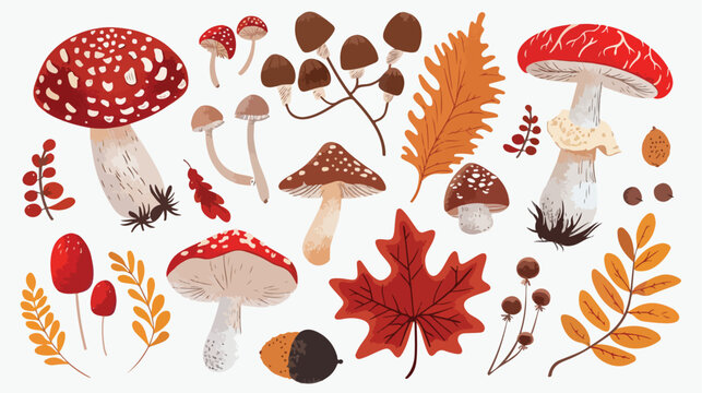 Hand drawn big vector set of Four types of mushrooms