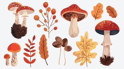 Fototapeta na wymiar Hand drawn big vector set of Four types of mushrooms