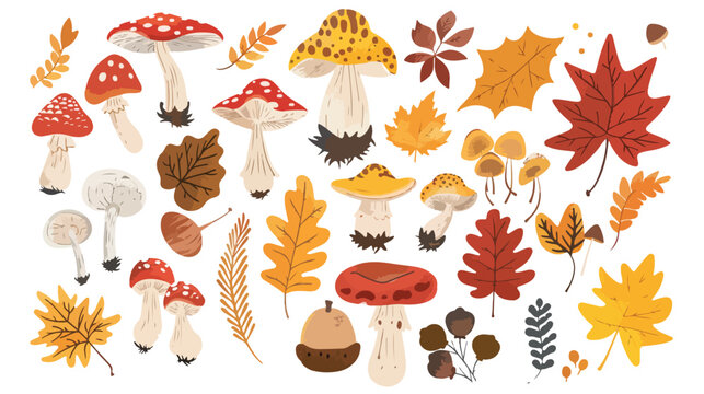 Hand drawn big vector set of Four types of mushrooms