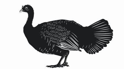Fototapeta na wymiar Black silhouette of a Turkey on a white background