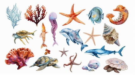The set of watercolor illustrations shows marine life in various environments