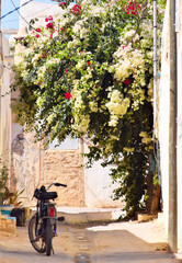 Tunezja Djerbahood, 04 kwiecień 2024, uliczka z motorem i bugenwilla